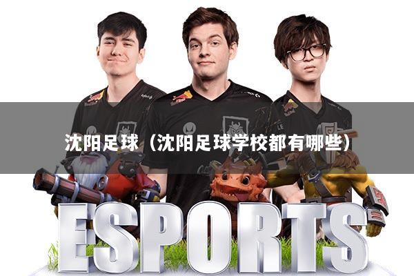 沈阳足球（沈阳足球学校都有哪些）